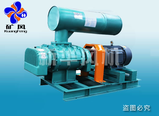 羅茨風(fēng)機 回轉(zhuǎn)風(fēng)機